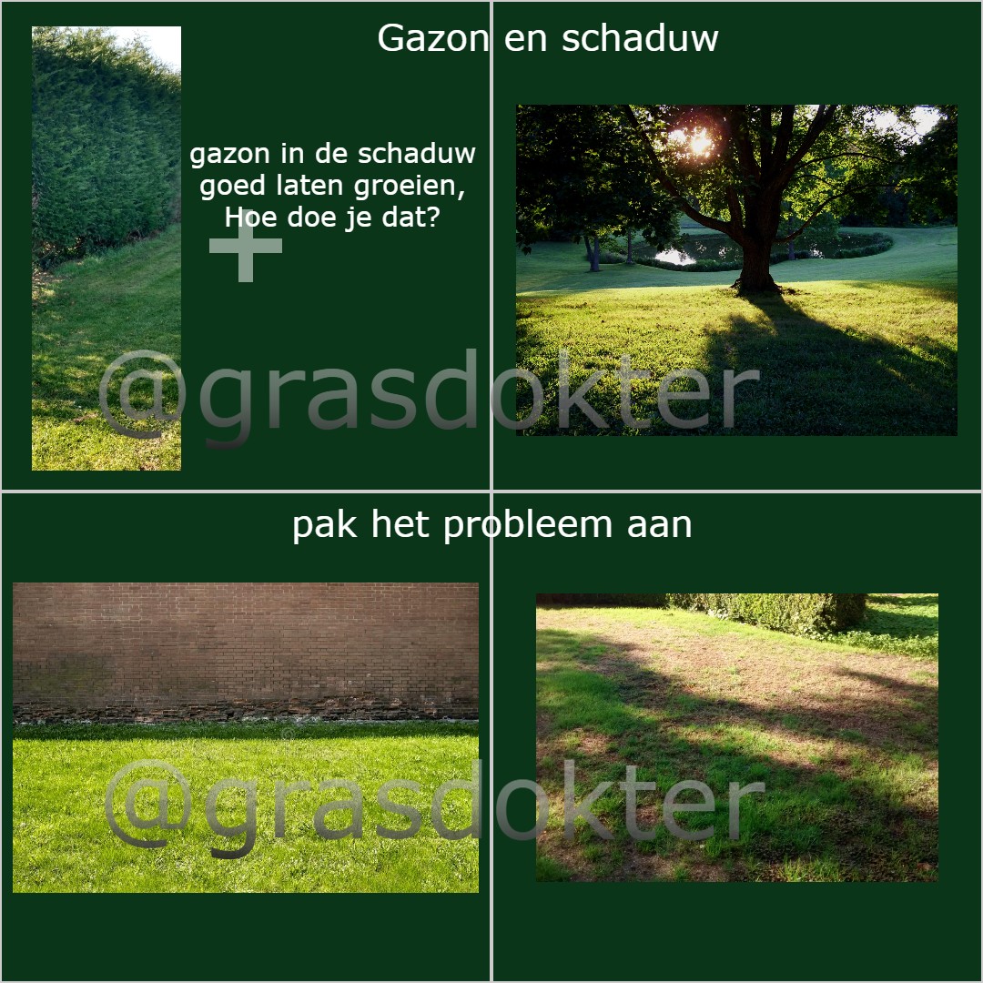 Grasdokter's tweet photo. https://t.co/LotdJOD0v0 https://t.co/3PbQl3tUcX