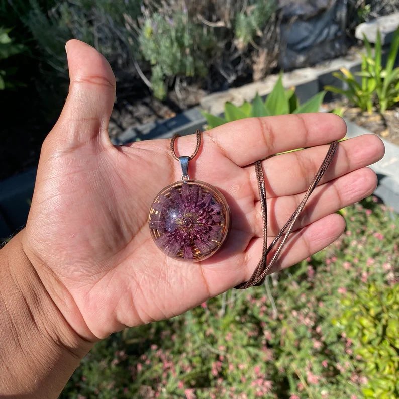 ForagedNature's tweet photo. Surprised this gem hasn’t found a forever home yet https://t.co/6JnNGN4F1k