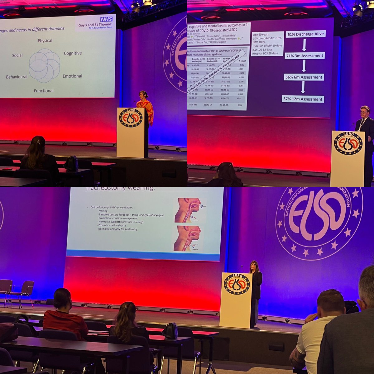 KellyMorris tweet media