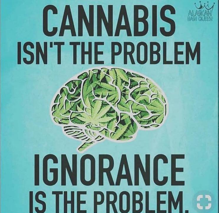 daviddinenberg's tweet photo. My hope is for people to have an open mind &amp; not keep thinking about the #Cannabis stigmas that exist &amp; do a little research &amp; learn! Cannabis is a plant. It’s natural. It helps people. #LegalizeIt  #FreeThePlant https://t.co/rNQ7BIjDO0