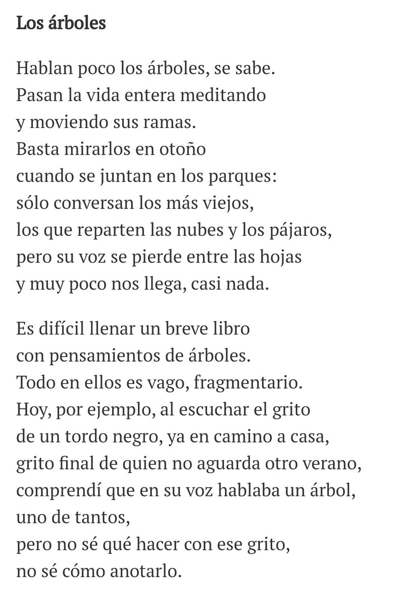 ... pero no sé qué hacer con ese grito,
no sé cómo anotarlo.

Los árboles, 1976