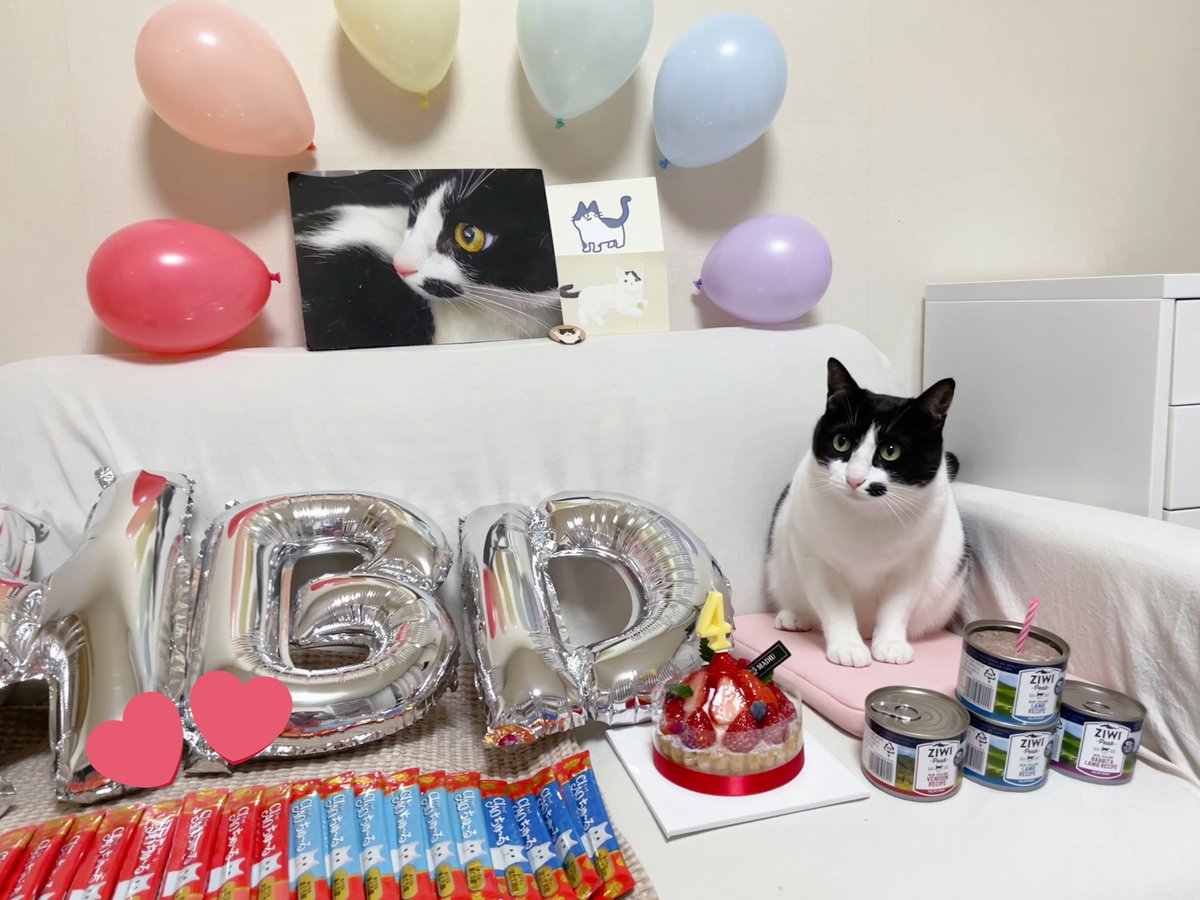 yon9oo's tweet photo. 🤍 1 8 0 5 0 7 🤍
〰️〰️〰️〰️〰️〰️
➰ 영리한 친구 ➰

우리 고영 4번째 생일 축하해 🥺
영구 무병장수하자 💕💕💕💕 https://t.co/GaNsBhSjuz