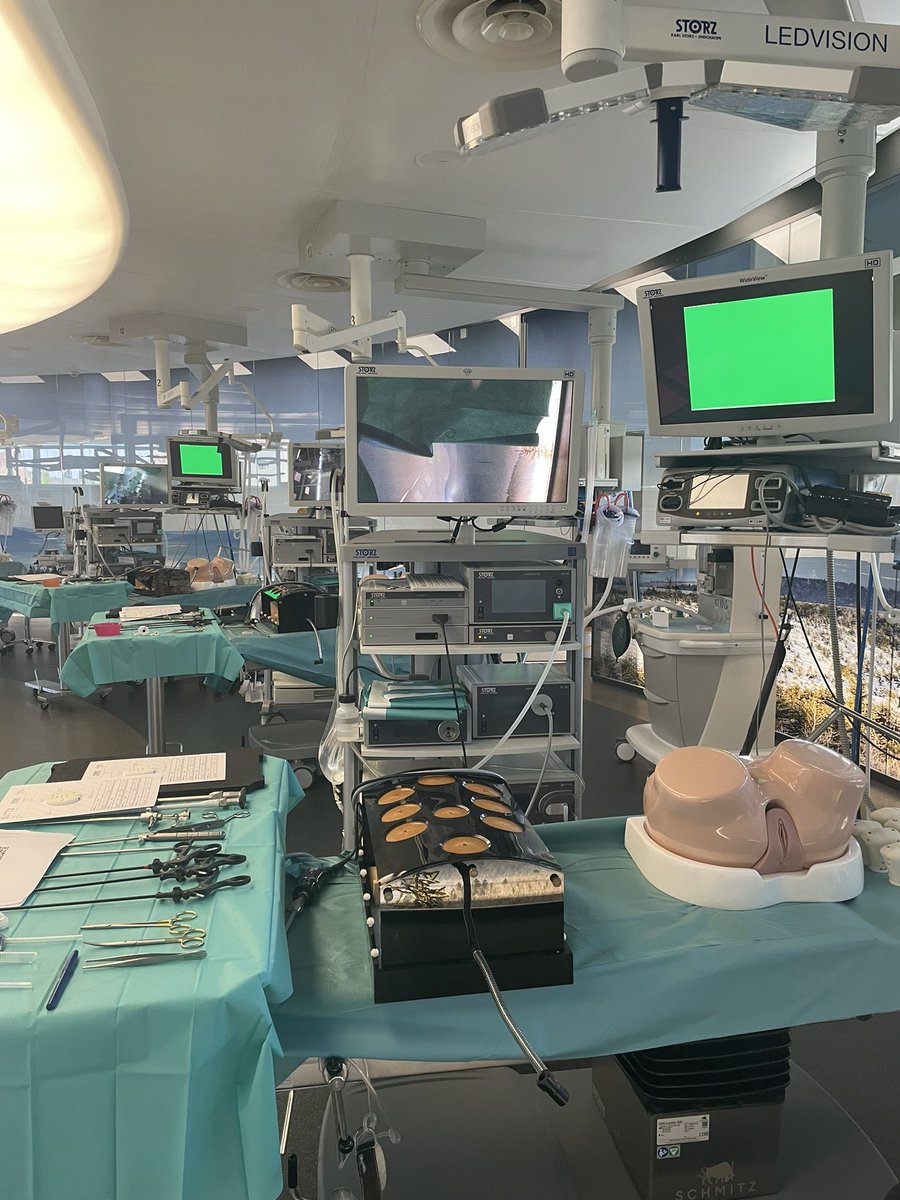 First <a href="/ESGEorg/">European Society of Gynaecological Endoscopy</a> GESEA Level 2 Certification Session in <a href="/IrcadFrance/">IrcadFrance</a> during <a href="/ESGO_society/">ESGO</a> Laparoscopic Course <a href="/NicoloBizzarri/">Nicolò Bizzarri</a> <a href="/annafagottimd/">Anna Fagotti</a> <a href="/ENYGO_official/">European Network of Young Gynae Oncologists</a>
