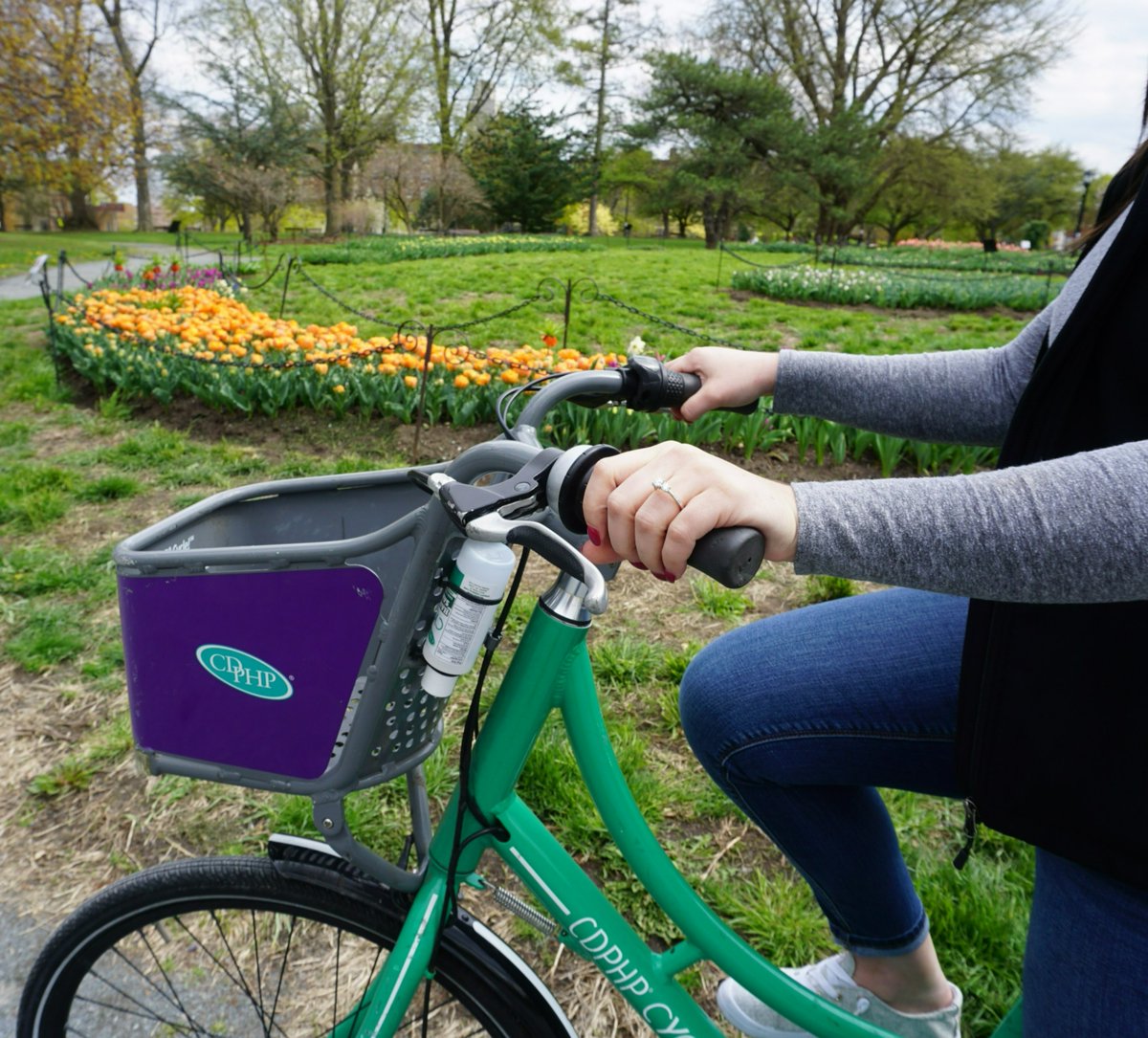 CDPHPCycle's tweet photo. Headed to Washington Park this weekend to check out the tulips? Take a ride on CDPHP Cycle and tag us in your pictures! π·π²
#cdphpcycle #capitalregion #518 #bikeshare https://t.co/MgztQTaCUe