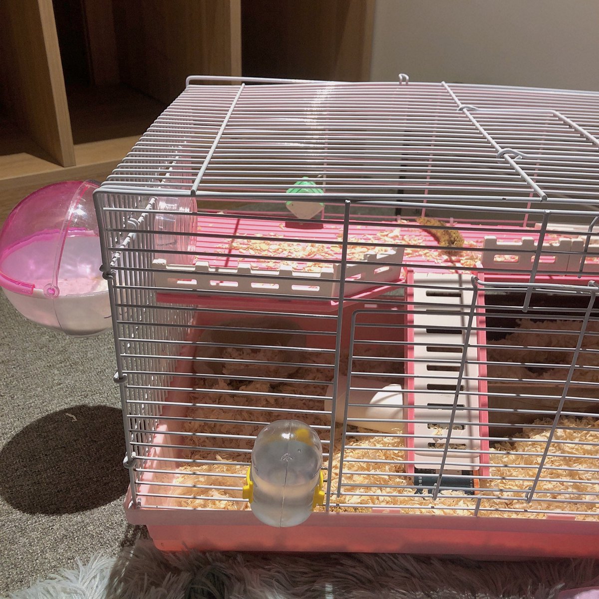 给小宝换个大房子！