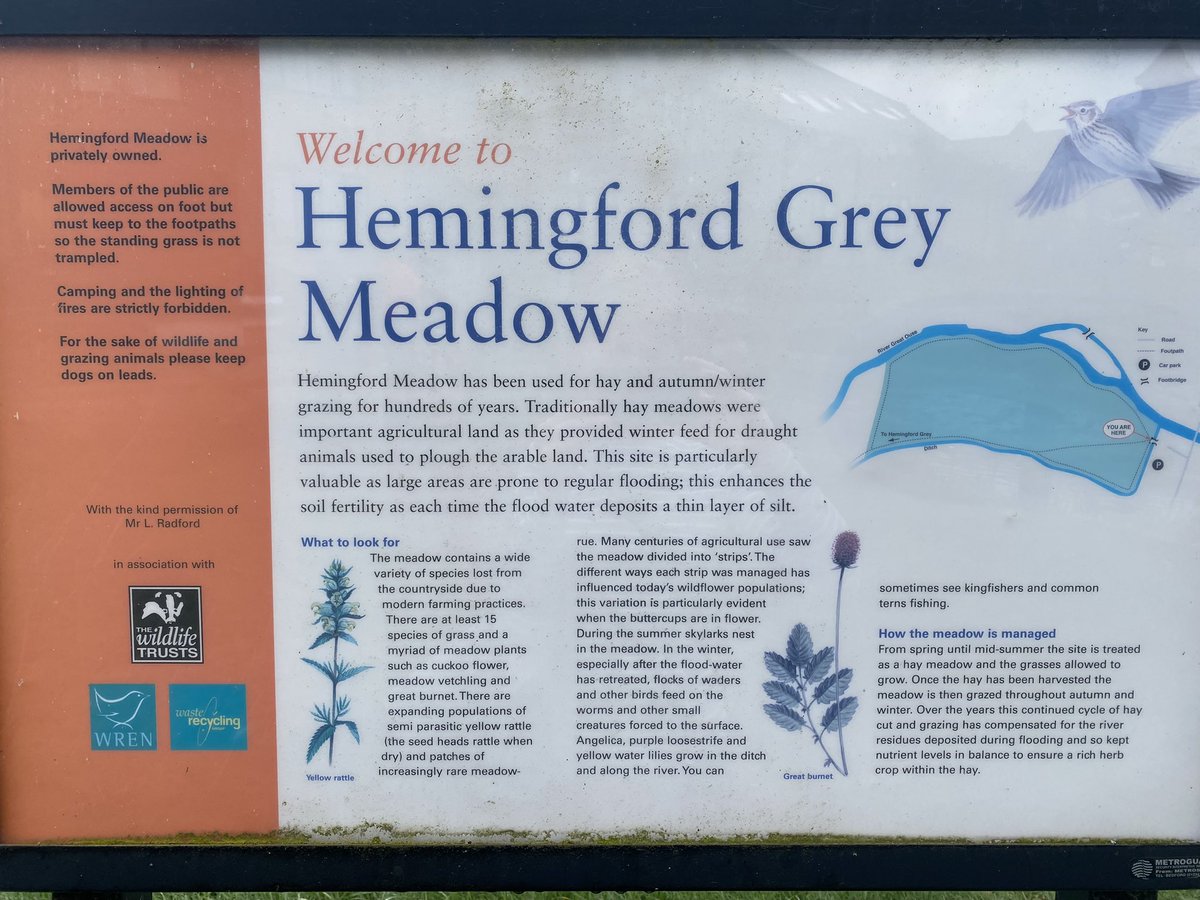 LizzieSagoo's tweet photo. Morning walk round Hemingford meadow #HayMeadows 🌼 #permanentgrassland @H2020SuperG Counting steps @RSKGroup #pedometerchallenge https://t.co/X1cCFewrj0