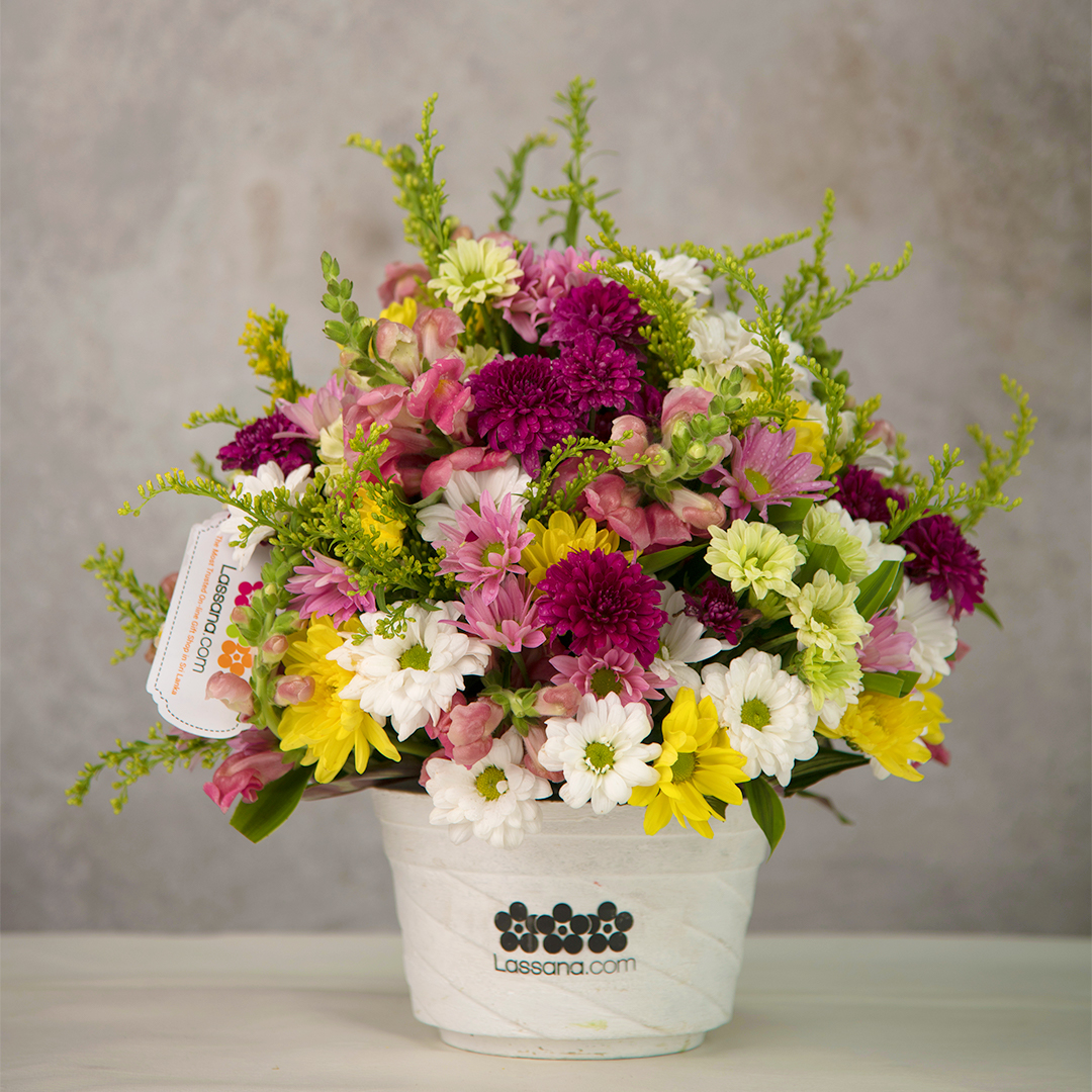 LassanaCom's tweet photo. Colourful exotic chrysanthemum arrangements available at all showrooms this Mothers Day! 💐

#freshflowers #lassanaflora #lassana.com #lassanaflowers #lassanafarms #exoticchrysanthemums #chrysanthemums #colourfulchrysanthemums #flowersincolombo #mothersday #mothersdaygifts https://t.co/BAzTS7Vu7D