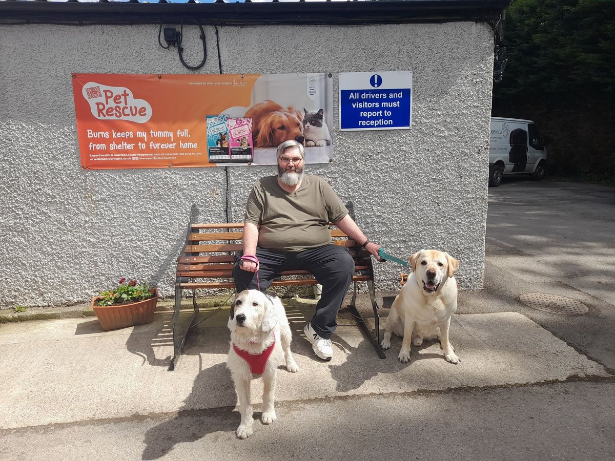 HopeRescue's tweet photo. Our lovely Bethany arrived in our care as a stray, she was covered in live fleas and was in desperate need of some TLC! 

She moved into foster with one of our long standing supporters and she has settled in so well she will be staying where she is!

#failedfosterclub https://t.co/sNx4aIG84k