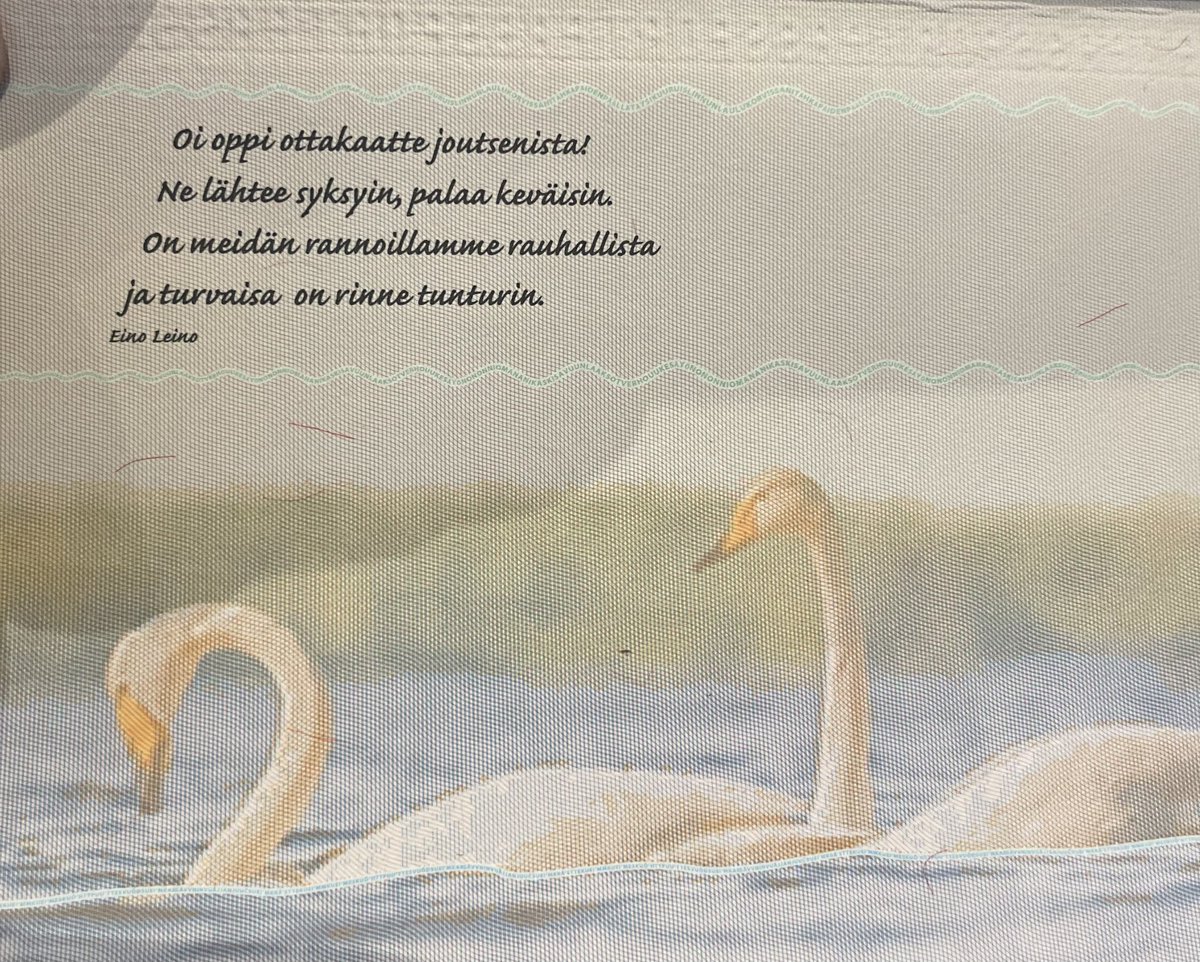 SatuPuumala's tweet photo. Uuden passini sisäkansi -wau❣️ #finland #einoleino 🦢🇫🇮 https://t.co/7exLv42yVH