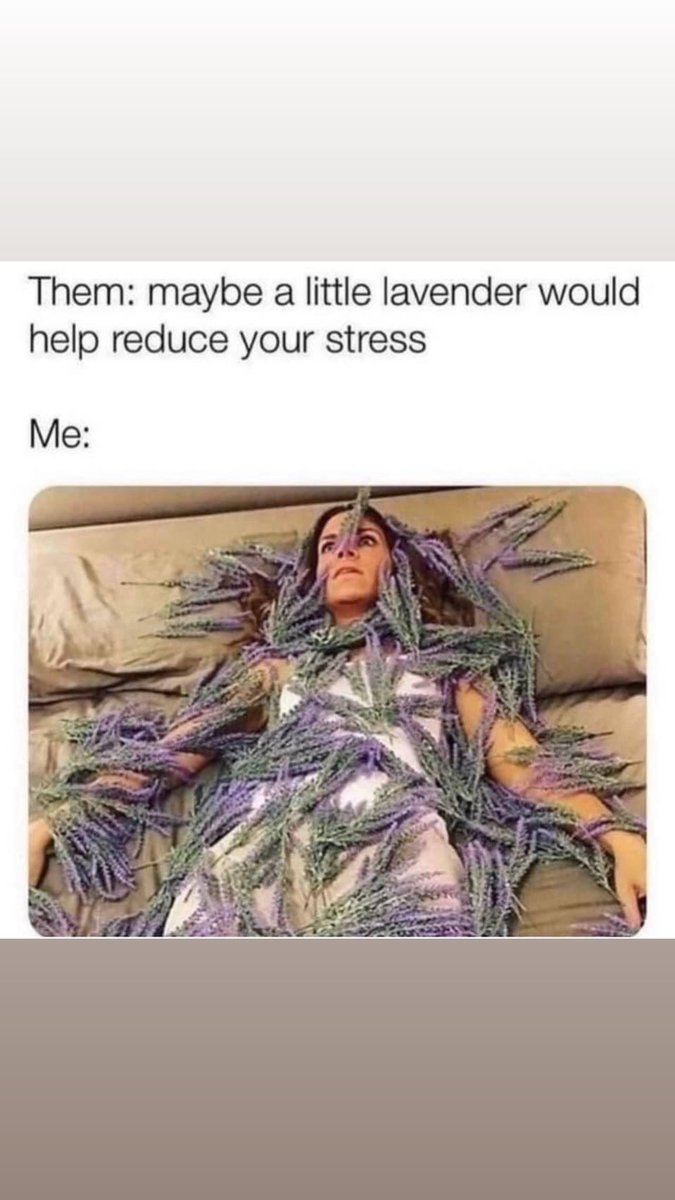 PremierAutoTag's tweet image. Let us Relieve the stress of the DMV 🤣 call today! #premierautotag #premierauto #premier #fyp #Automotive #dealership