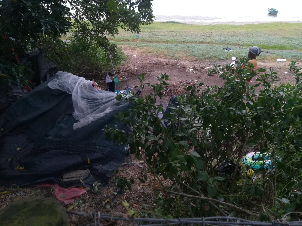 Stephan J Lamprecht tweet media