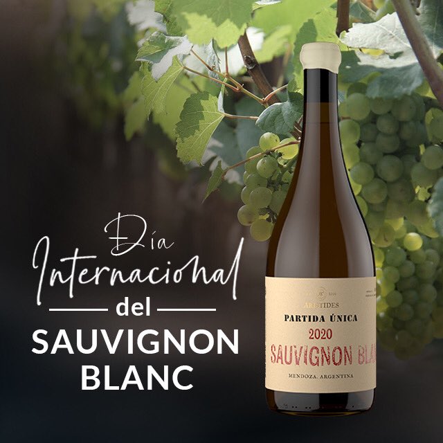 ¡Hoy es el día internacional del #SauvignonBlanc!
🔺Variedad originaria de #Francia. 
🔺Se destaca por su notable intensidad aromática.
🔺Es una variedad de maduración temprana y de muy buena acidez.
👉🏻Te invitamos a que conozcas nuestro Sauvignon Blanc de #PartidaÚnica