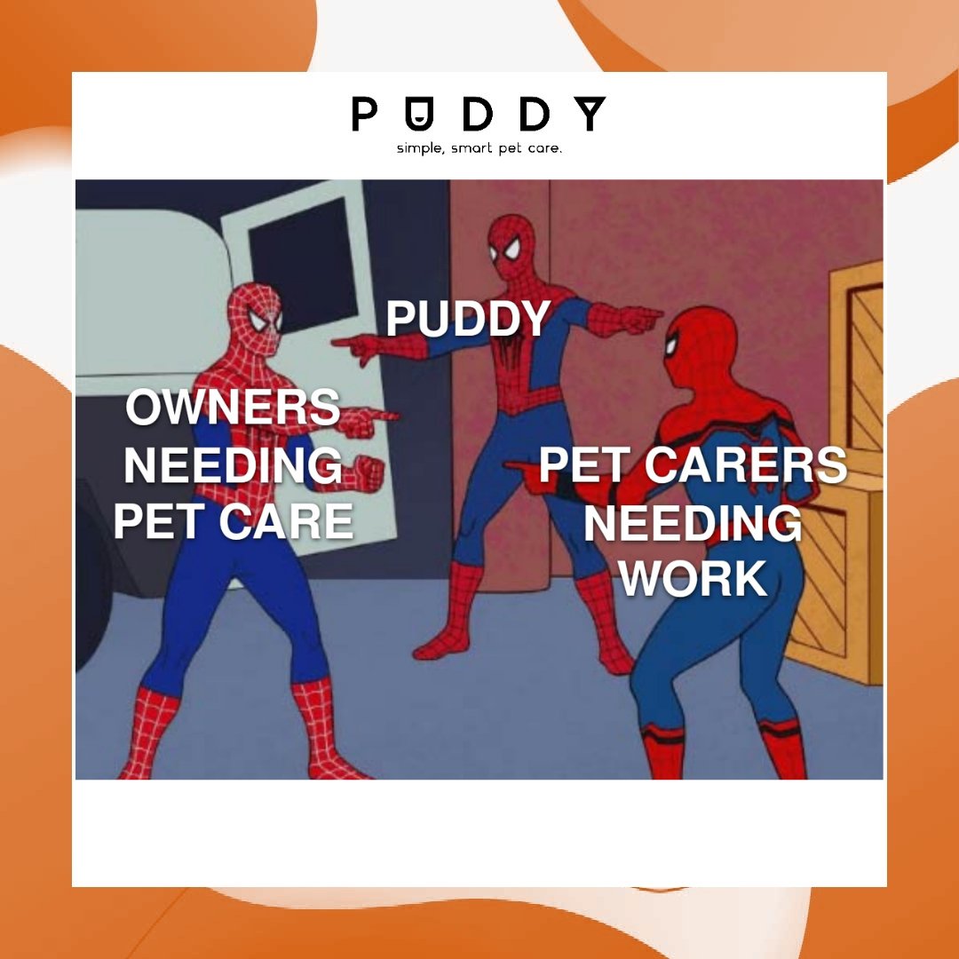 for finding your perfect pet carer, there's only one place to go... 
that place is called 'clicking the link in bio'🌟 
puddypetcare.com 

#puddy #petcare #simplesmartpetcare #catsitting #dogwalker