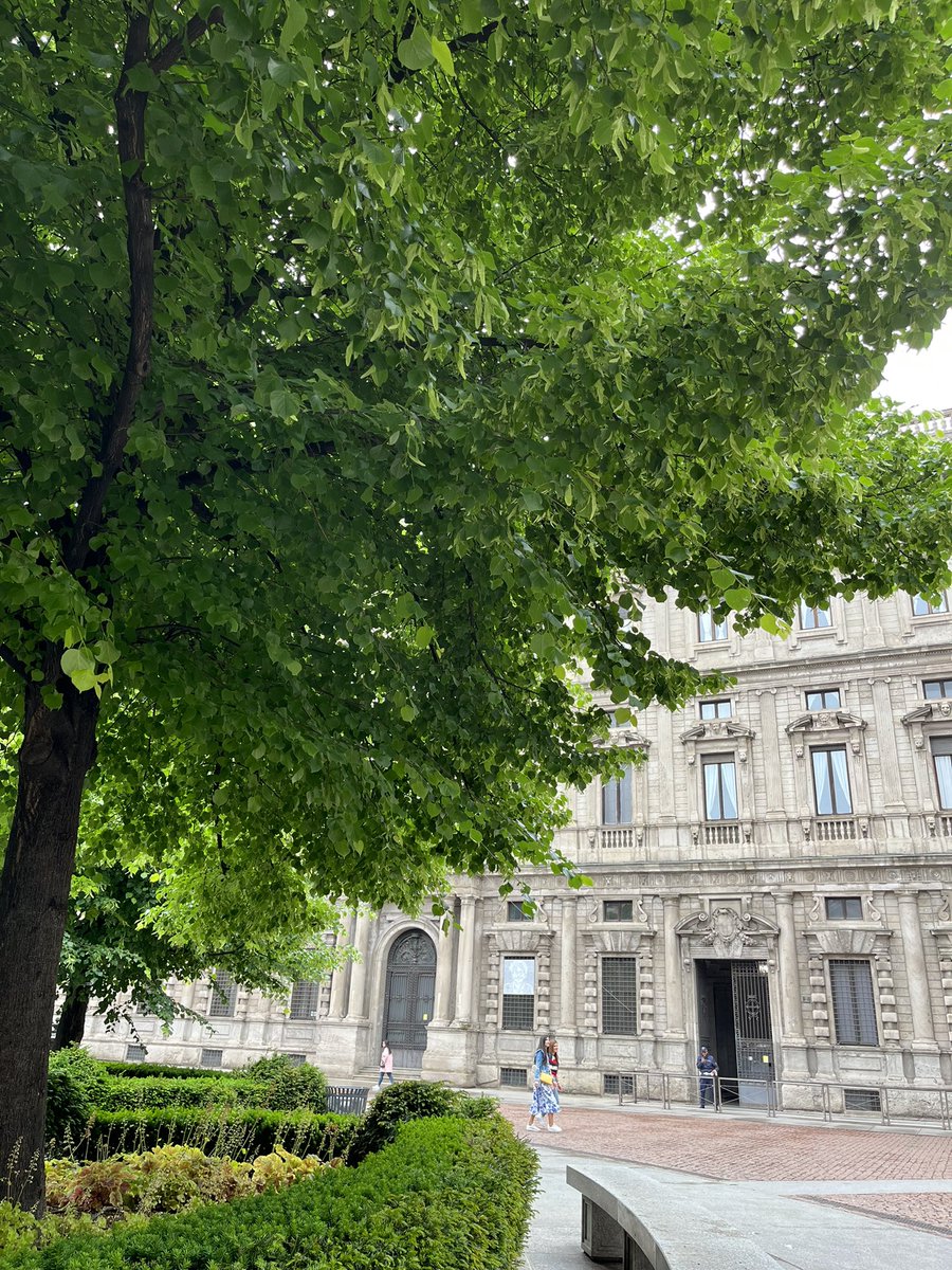 KYOCR's tweet photo. Milan…
#simplementehermoso https://t.co/RFWXW4YPYr