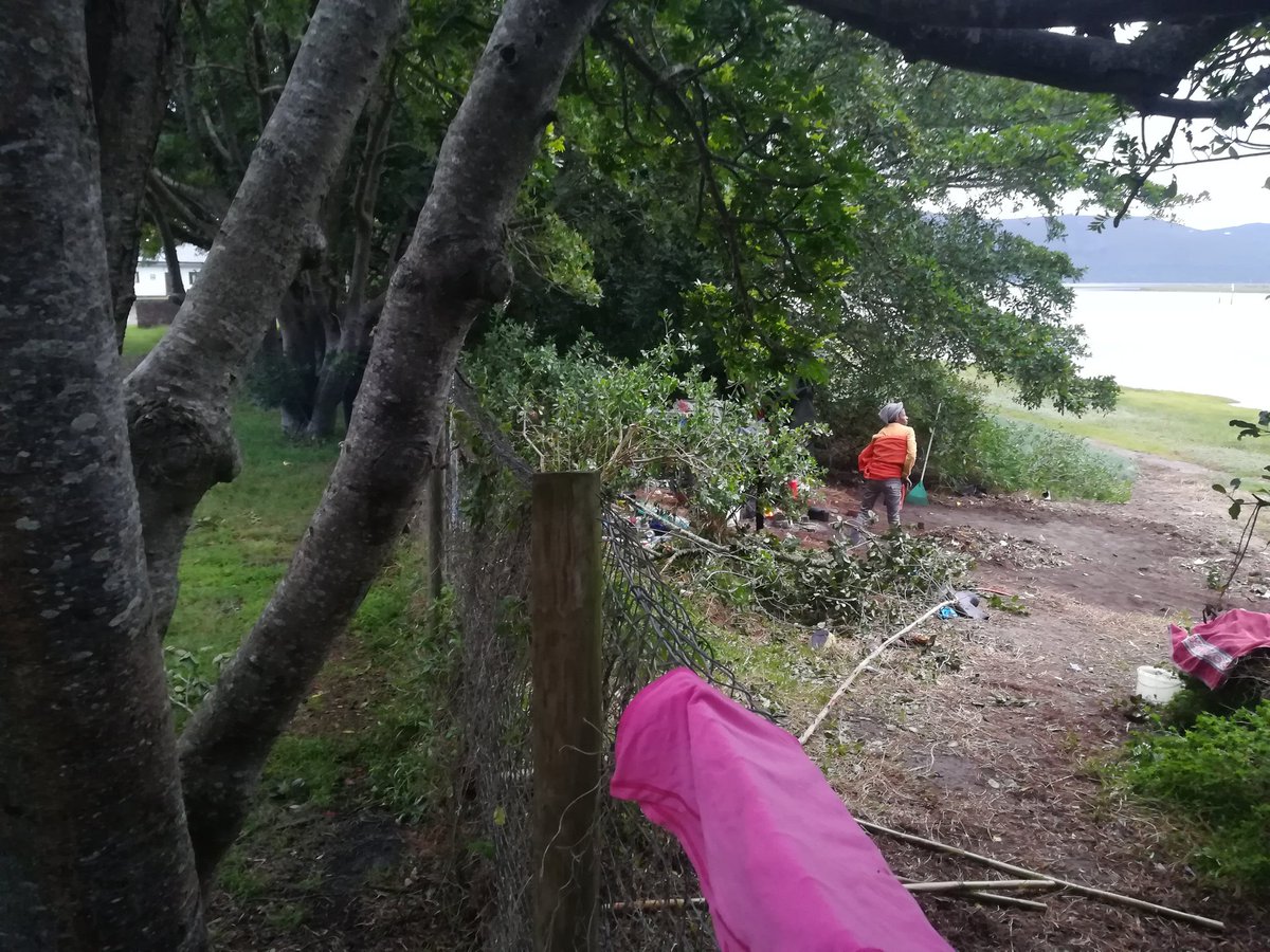 Stephan J Lamprecht tweet media