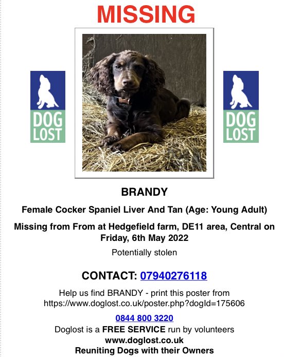SAMPAuk_'s tweet photo. BRANDY DISAPPEARED AFTER A DELIVERY DRIVER LEFT THE GATE OPEN!
Female #CockerSpaniel #Swadlincote #Derbyshire
6.05.22
Potentially stolen, we are devastated
#FindBrandy
DL https://t.co/KbMDYQOTbf
FB https://t.co/jk8rt5hZP9
#LOSTDOG #DogTheft #TheftByFinding #PetTheftReform https://t.co/4VlWqNjiNo