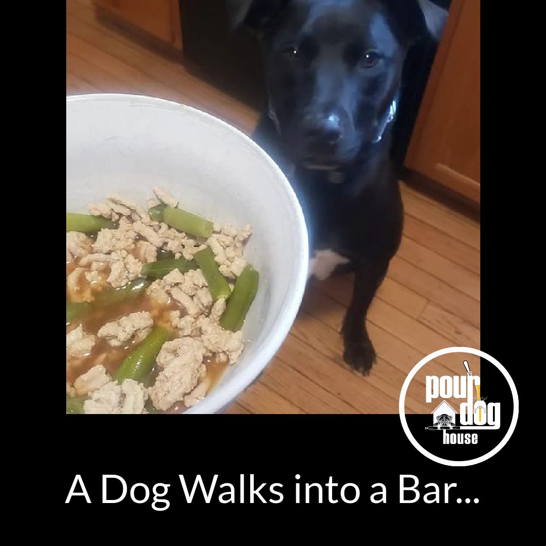 A dog walks into a bar...SQUIRREL!?!   

See you soon at Pour Dog House!

#DogJokes #DogFriendly #MillersvilleMD #PourDogHouse #MarylandHappyHour #MarylandEats