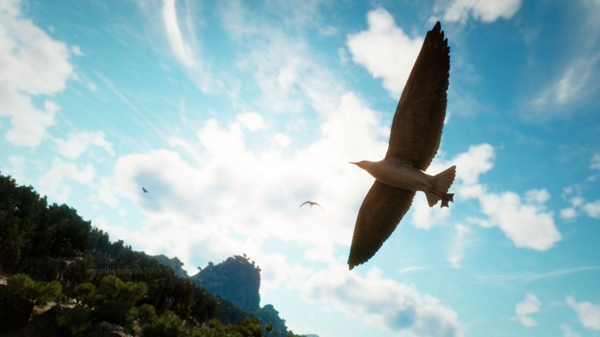 annatheginguh's tweet photo. Fly High
Game: #FarCry6
Theme: #SimpleShotSaturday 

#FarCry #WorldofVP #VPRT #VirtualPhotography https://t.co/IspMB65l59