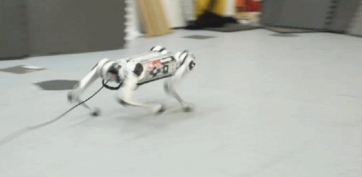 ETSLindgren's tweet photo. #IndustryNews • #Robotics🤖🐕
Researchers at @MIT have built a robot cheetah that taught itself to run — and broke a record in the process! https://t.co/0Y8rDktyHJ
Via Gizmodo
#robot #MiniCheetah AI https://t.co/wAQEJVgc9U