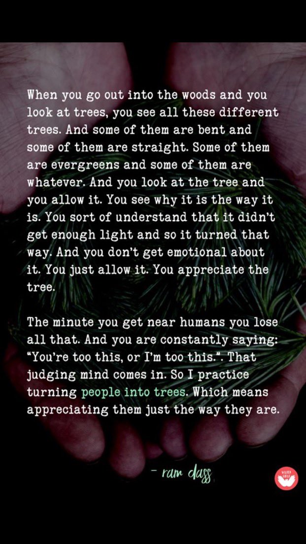 I can’t stop thinking about this and what it means for the kids we teach. How do we talk about them? How do we view them? Do we recognize our own role in the environment we are creating for them? 

I’m thinking of little people as trees now. 🌲 🌳 🌲