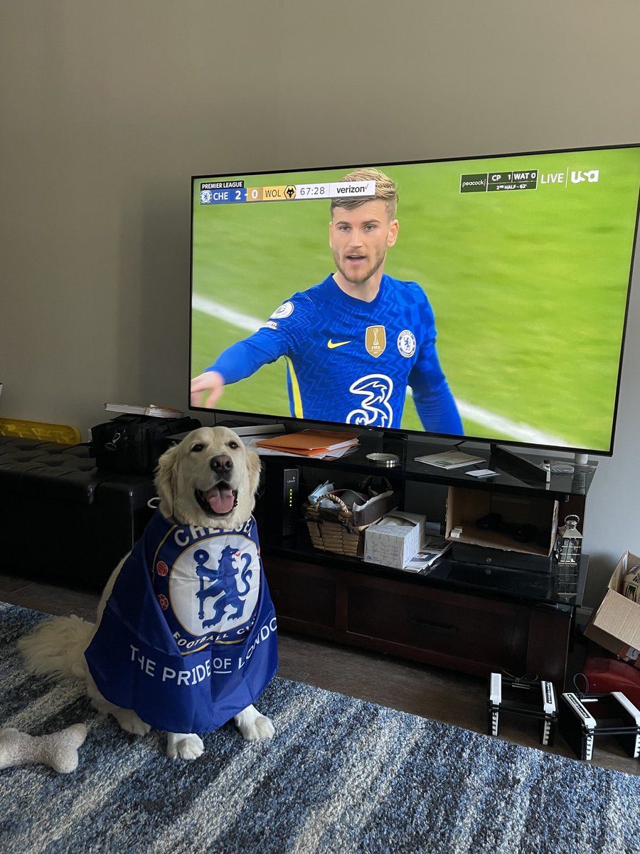 Trehouse17's tweet photo. #KYDerby #myPLMorning #cfc https://t.co/Iq0Nd5q4cG
