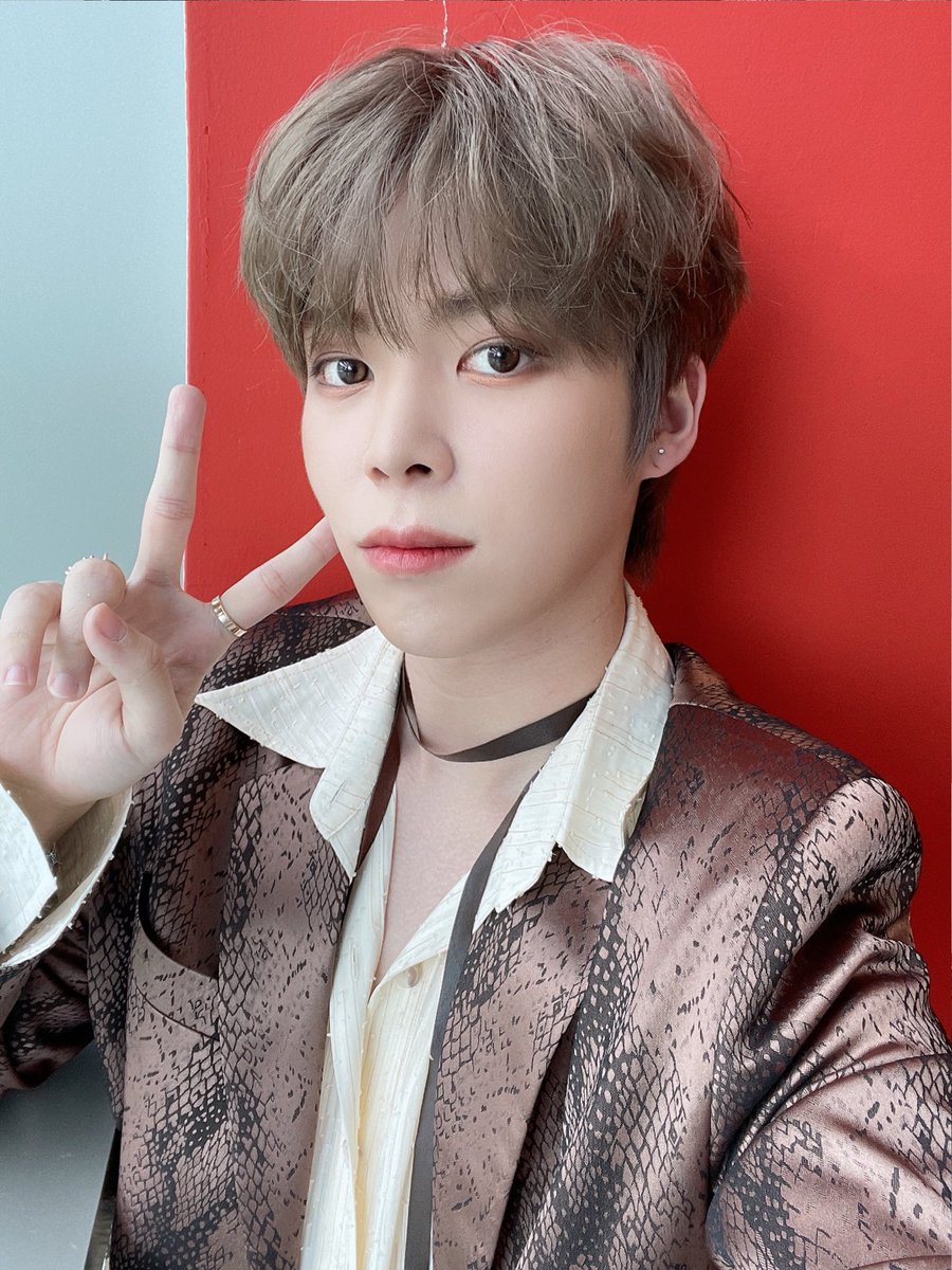 kneuty's tweet photo. 이 고구마로 포장해주세요 https://t.co/ZTHPJzRYHi