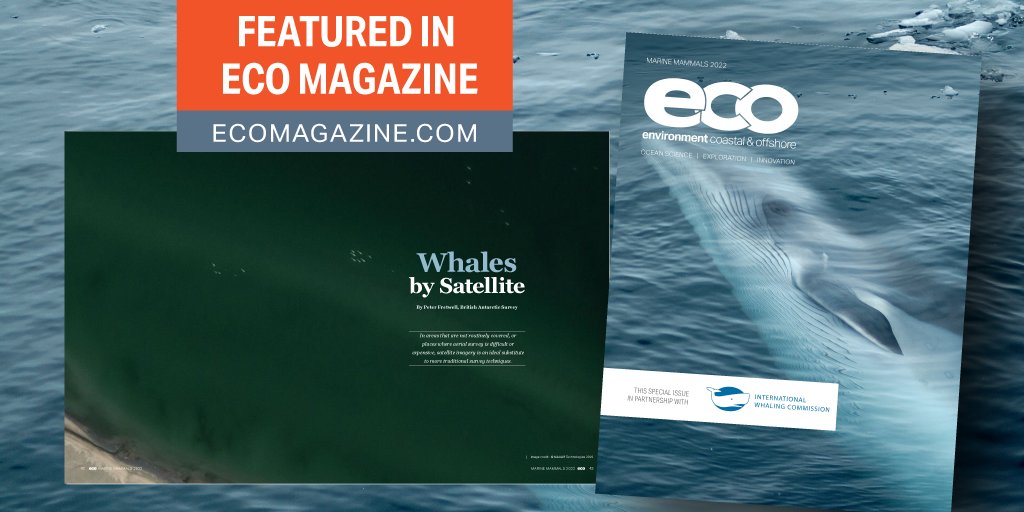 @PeterTFretwell of <a href="/BAS_News/">British Antarctic Survey 🐧</a> explores the benefits and future challenges of monitoring whale populations using satellites in our latest edition.

Dive in today! digital.ecomagazine.com/publication/?i…

#Whales #Satellite #Technology