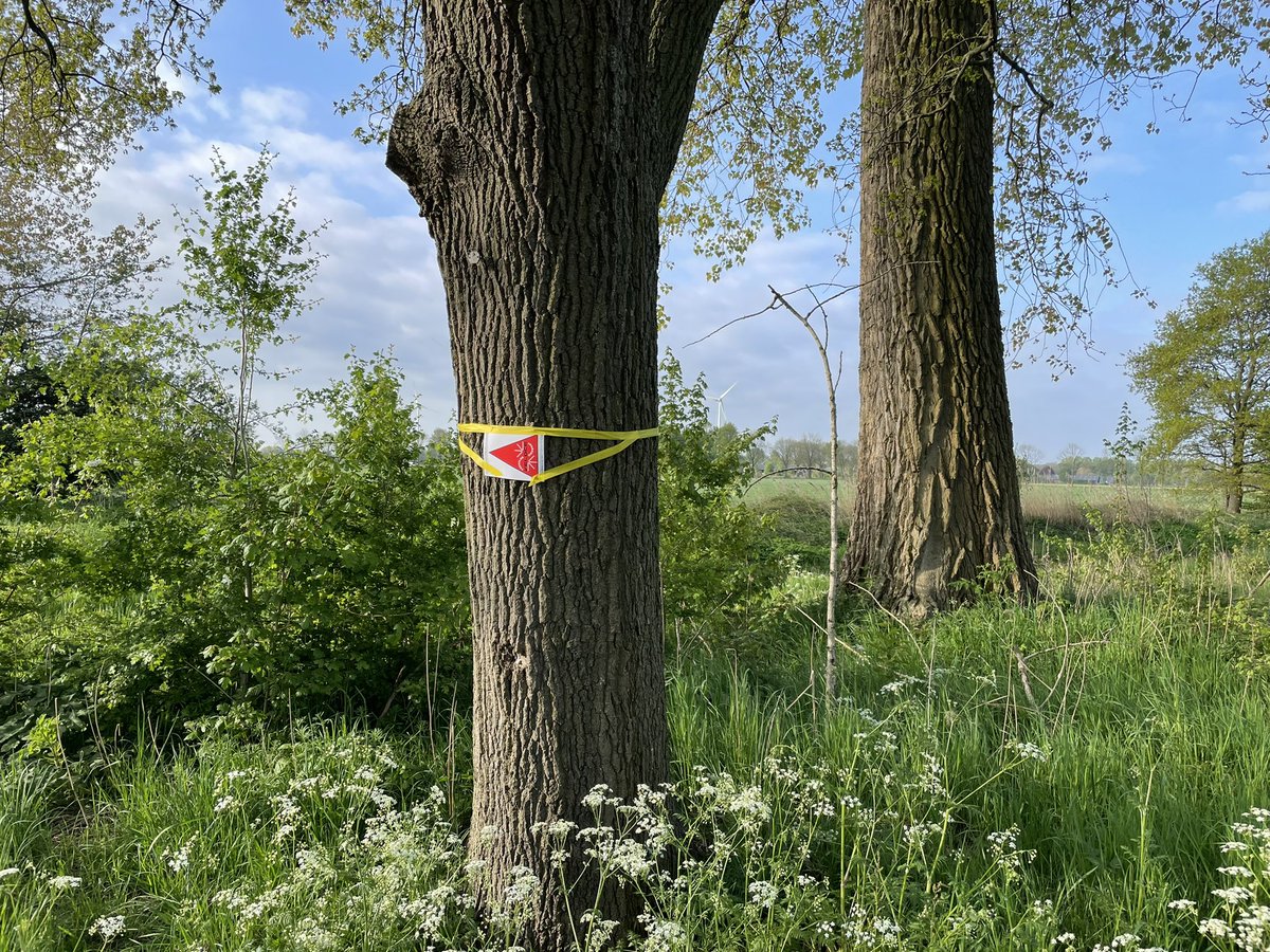 TcVeloce's tweet photo. Fanatiek aan het uitpijlen voor 25e Oost-Achterhoektocht, morgen 8 mei start in Zieuwent. https://t.co/SKlgRiuM3L