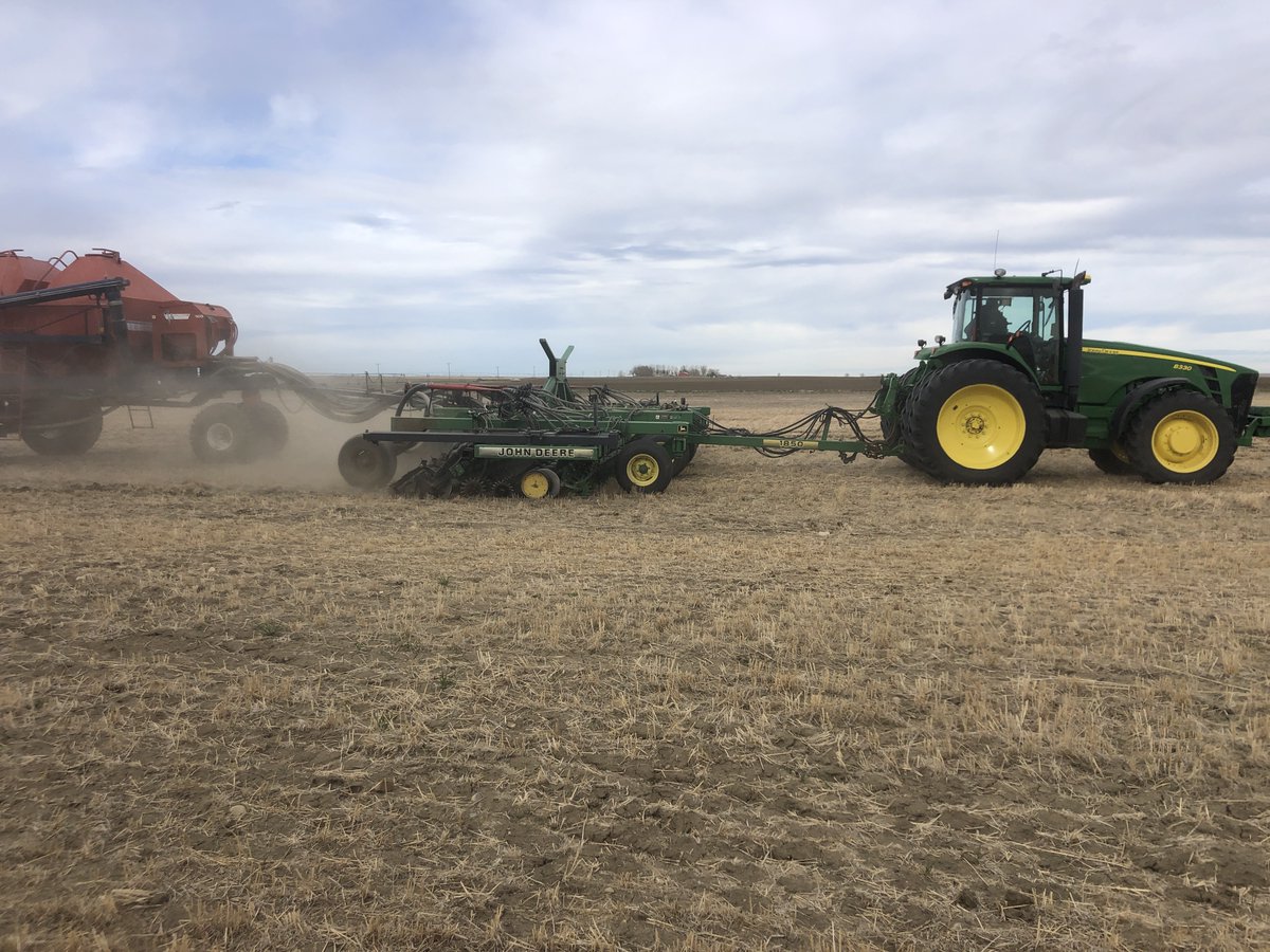 #invigor canola for seed production. This is our 25th year with the PGS/Agrevo/Aventis/Bayer/BASF Liberty Link system.