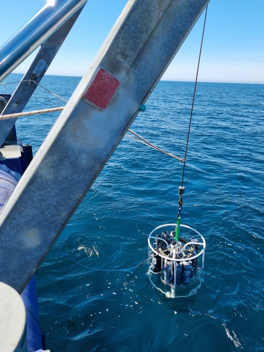 Mark Moore tweet media