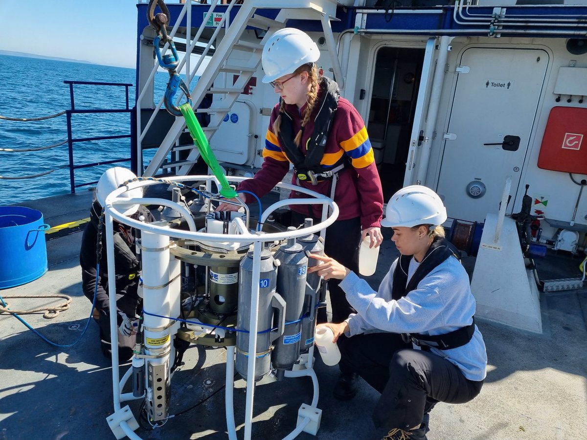 Mark Moore tweet media