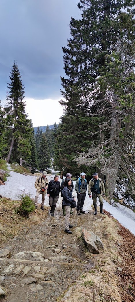 AlkaWildlife's tweet photo. We drove more than a thousand kms across the country, hiking through mountains, swamps and bogs, while planning our next steps to support the conservation of this remarkable mammal. https://t.co/Wp5D1xP0n6