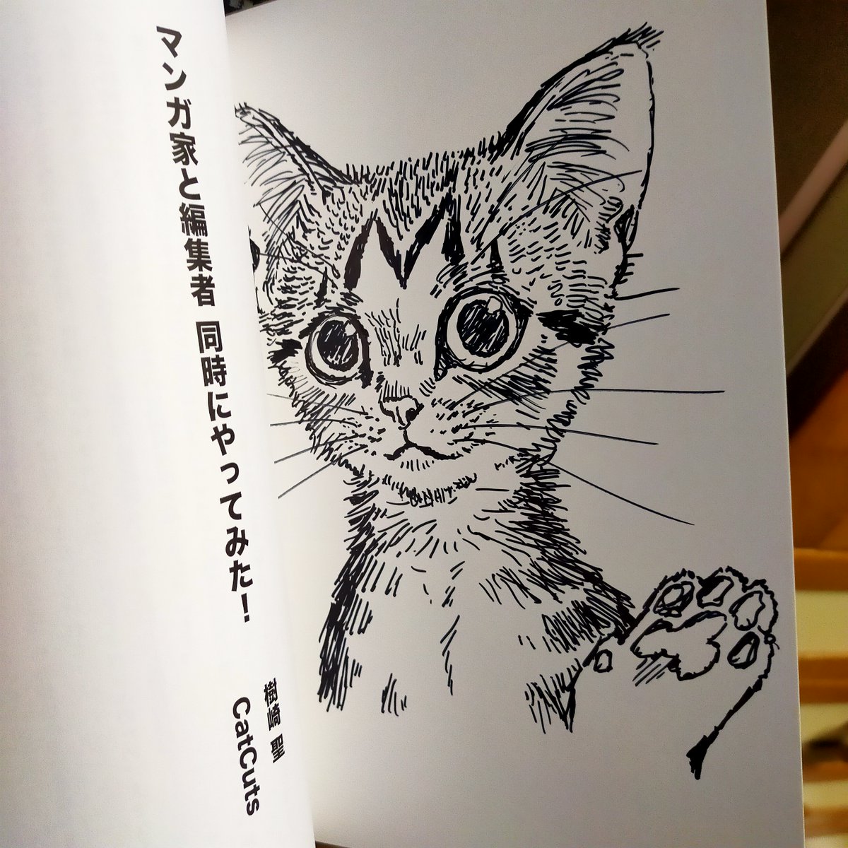 『漫画家と編集者 同時にやってみた!』
出足からめっちゃ好調に購入いただいてありがとうございます!
ガチで創作に取り組む方と漫画大好き裏話知ってさらに深く読み解きたいって方にオススメです!
絵はBOOST(投げ銭)して下さった方用のサインイラストです。購入はBOOTHからよろしくお願い致します https://t.co/FVzMpLcPgb