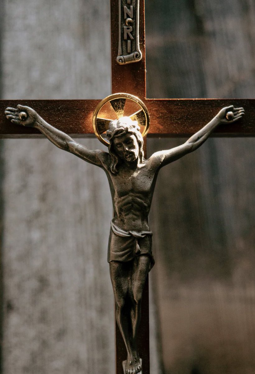 CatholicTroy's tweet photo. Apart from the cross, there is no other ladder by which we may get to heaven. 

- St. Rose of Lima 🙏 https://t.co/bxj2TVI2Di