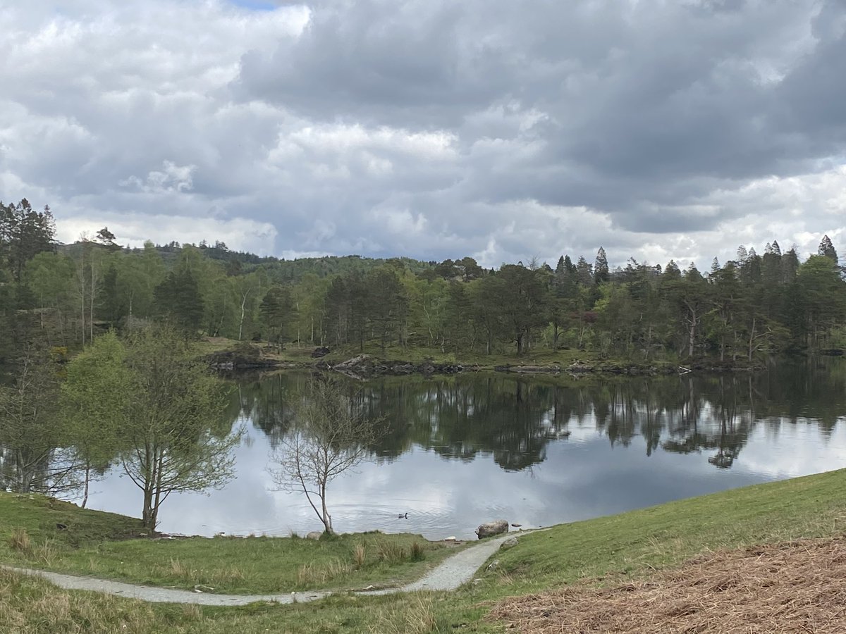 stephmarkmolly's tweet photo. #treeclub #tarnhow #LakeDistrict #holidays https://t.co/GUOLlNe6tg