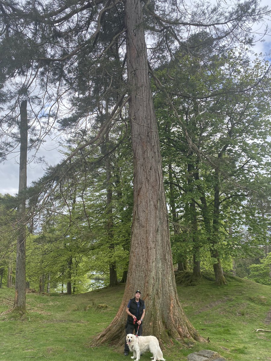 stephmarkmolly's tweet photo. #treeclub #tarnhow #LakeDistrict #holidays https://t.co/GUOLlNe6tg