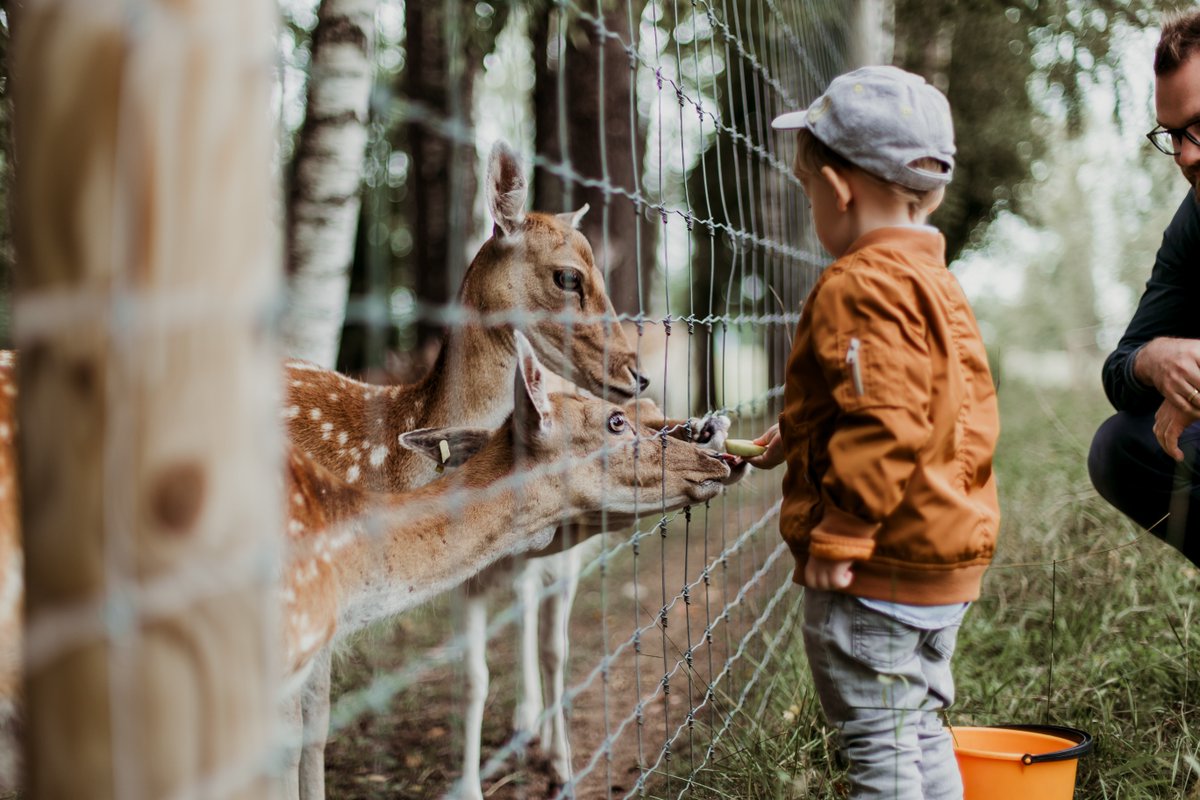 Busylifeandme's tweet photo. Jersey Zoo has become the first Zoo in the UK and Europe to be certified as "sensory inclusive". This means it can support visitors who might be overwhelmed by the zoo environment. #thinkINC https://t.co/gXZ5UNNDZT