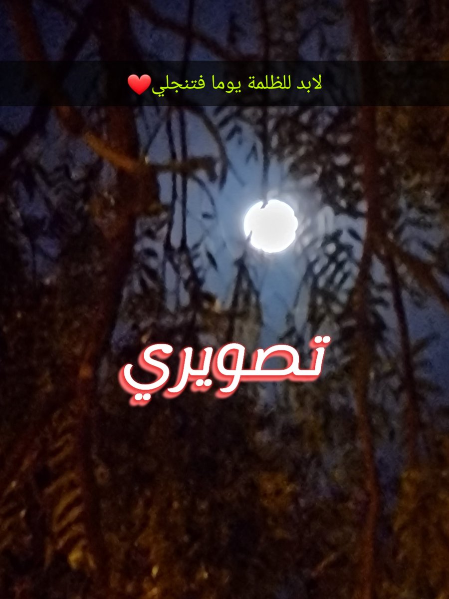 HalimahAlalkami's tweet photo. #مشاعر_بخاطري_بقولها 
ياضيم قلبي عندما لا أجد الدعم الكافي لتغريداتي الوطنية.ولكن أرجع وأقول يكفيني حبك ياوطني وقد غرس بقلبي ودمي.🇸🇦 https://t.co/T6qJ41bV5O