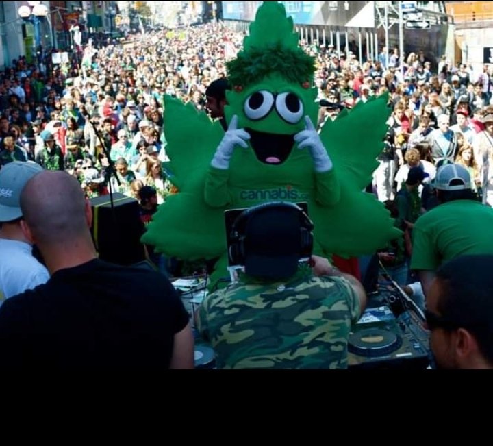 GMMLIVE's tweet photo. Big Day is here! @GMMLIVE hits the streets today in Toronto! @theHerbKushman is back to lead the masses! HIGH NOON GATHERING 2PM LAUNCH! @blogTO @6ixbuzztv @CannabisCulture @PotTV @JodieEmery https://t.co/BaabZF1eFd