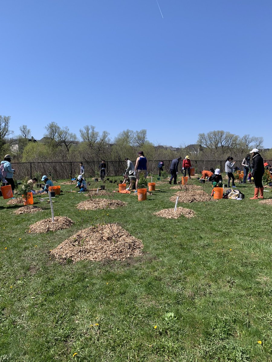 sustainableking's tweet photo. A big THANK YOU to those who came out to plant! Your efforts will assist @KingTownship with its mow reduction initiative #KingLovesSpring 🌲 https://t.co/pDGkVKzIZJ