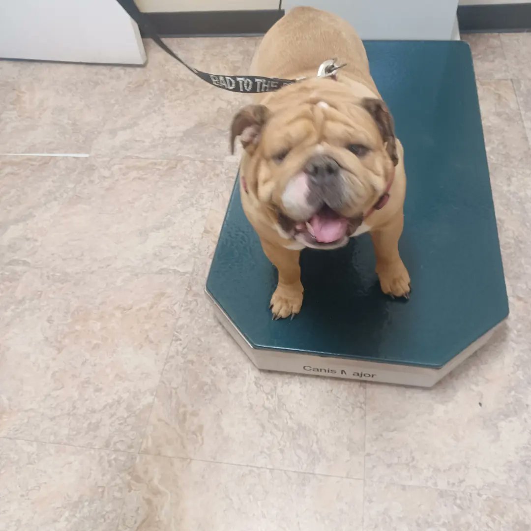 ABEBD's tweet photo. Mr. EARL DIGGER.  5 in July. 
65# NOT FAT. Chaps x BooBoo ( Monkey Daughter). 
BoomBoom room. If you know you know..🥴🤭 https://t.co/PfuZULNey3