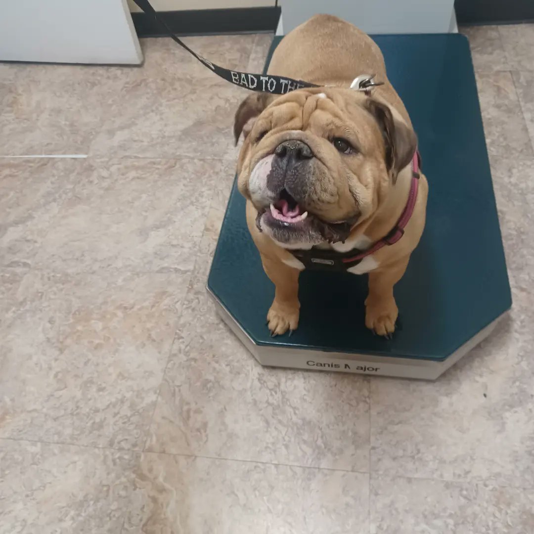 ABEBD's tweet photo. Mr. EARL DIGGER.  5 in July. 
65# NOT FAT. Chaps x BooBoo ( Monkey Daughter). 
BoomBoom room. If you know you know..🥴🤭 https://t.co/PfuZULNey3