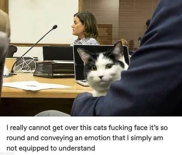 O:
