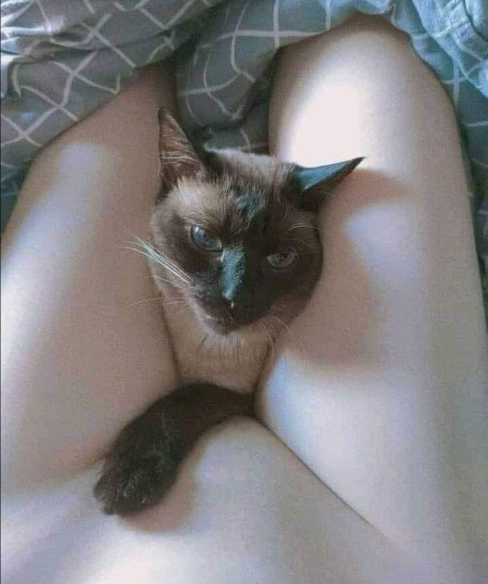 salemv__'s tweet photo. Luego que por qué les da una infección vaginal. https://t.co/snHr4z2lj2
