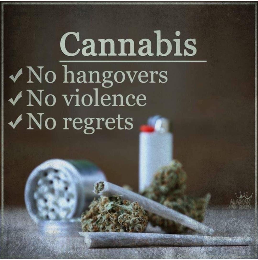 Happy Saturday everyone 💨🌳🌎❤️ #Mmemberville #StonerFam