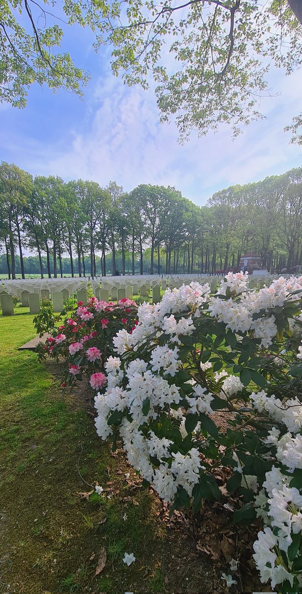 _MarianneS's tweet photo. Klompenpad Rosandepad 🚶♀️ Wat is het mooi rondom Oosterbeek. Genieten 😎 #klompenpad #rosandepad #Oosterbeek #wandeleninnederland #genietenvankleinedingen #genietenvandenatuur #wandelen #buitenleven https://t.co/7wDYY1mFxD