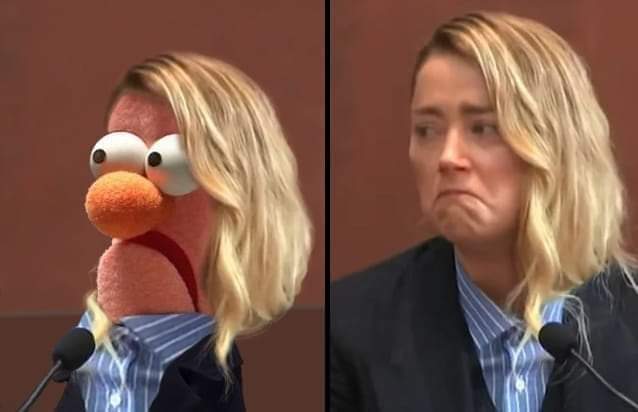 myunclesmemes's tweet photo. couldn't tell the difference https://t.co/XFE5Ta8dDk