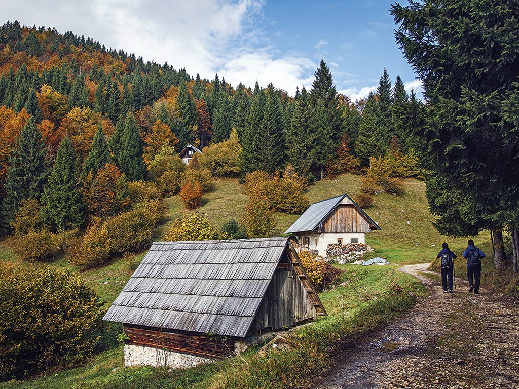 NGTIndia's tweet photo. In 2019, two happy campers chose to travel to the East of the Alps—to Slovenia. Driving from Ljubljana through to Bled and Bohinj, Debashree Majumdar writes of her hiking and canoeing adventures, as they ambled along until the weather played a spoilsport.

https://t.co/DmZ6Xgocwt https://t.co/LBLXa06F7a