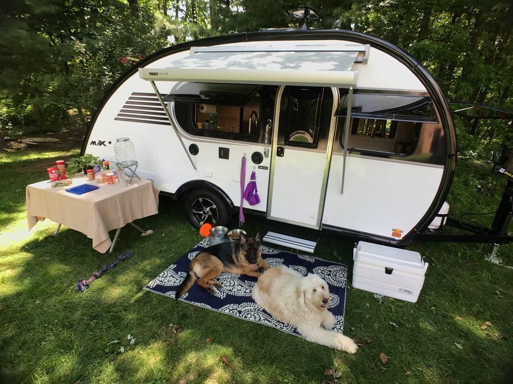 golittleguy's tweet photo. Share your photos of your furry camping companion with us using the hashtag #mymaxtrailer on Instagram or in the comments below.  🐶 https://t.co/aMdG1PeMlS