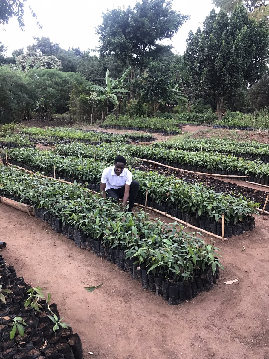 mulindwa_guy's tweet photo. Agriculture is a significant contributor to climate change, but it can also be a solution. Land must be part of climate action narrative!

#LandLifeLegacy #United4Land #COP15 https://t.co/pIIYGQnNhG